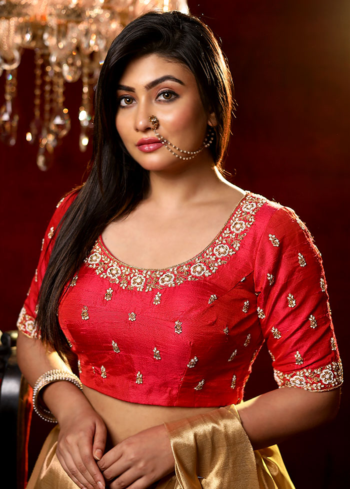Red Moti Work Silk Designer Blouse